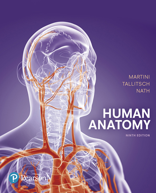 Pearson eText for Human Anatomy, 9e - Exchange