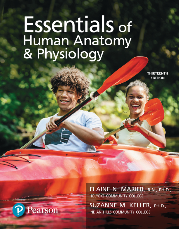 Anatomy And Physiology Textbook Pearson